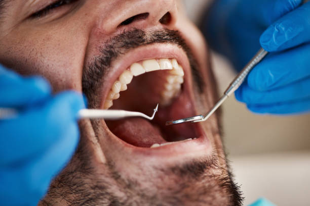 Best Urgent Dental Care in Calhoun City, MS